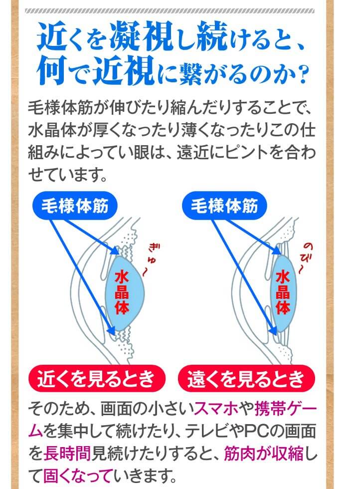 近くを凝視し続けると何で近視になるの?